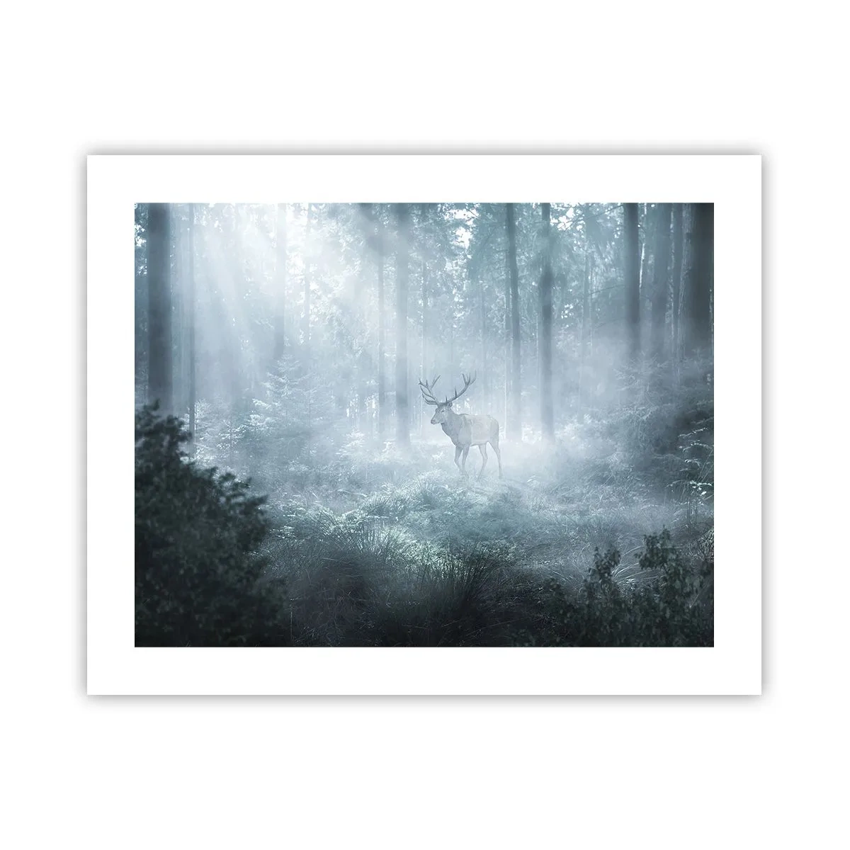 Plakát - Ranní obchůzka sídliště - 50x40 cm