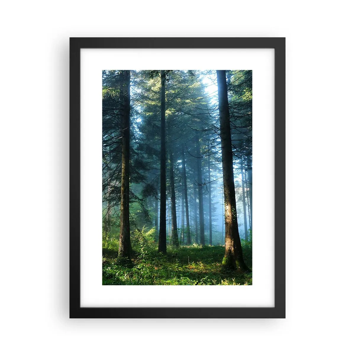 Plakát v černém rámu - Zářící za úsvitu - 30x40 cm