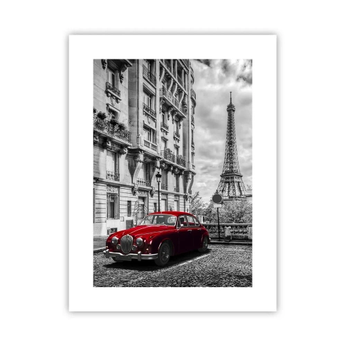 Plakát - Dravec ve městě - 30x40 cm