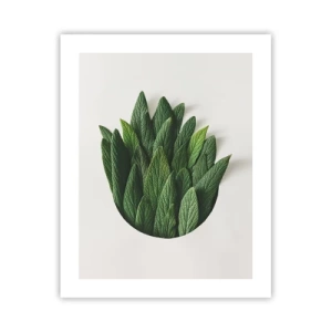 Plakát - Neukojitelná zvědavost - 40x50 cm