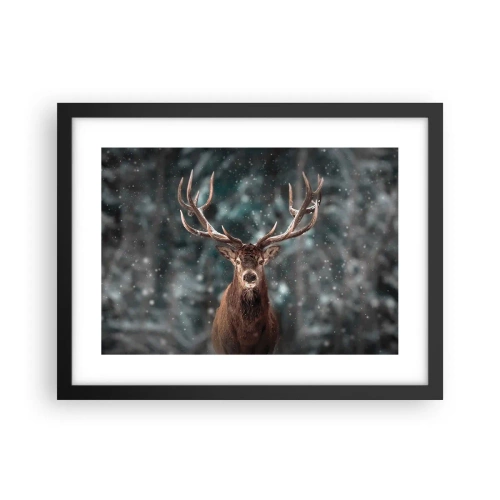 Plakát v černém rámu - Skutečný král lesa - 40x30 cm