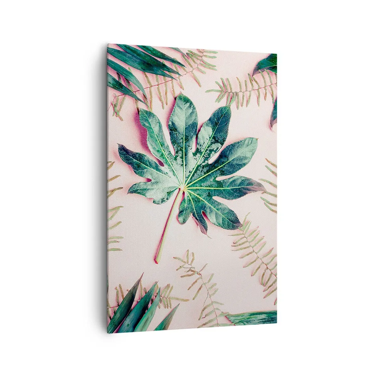 Obraz na plátně - Studie zelené na růžovém pozadí - 80x120 cm