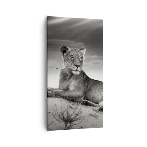 Obraz na plátně - Odpočinek královny pouště - 55x100 cm