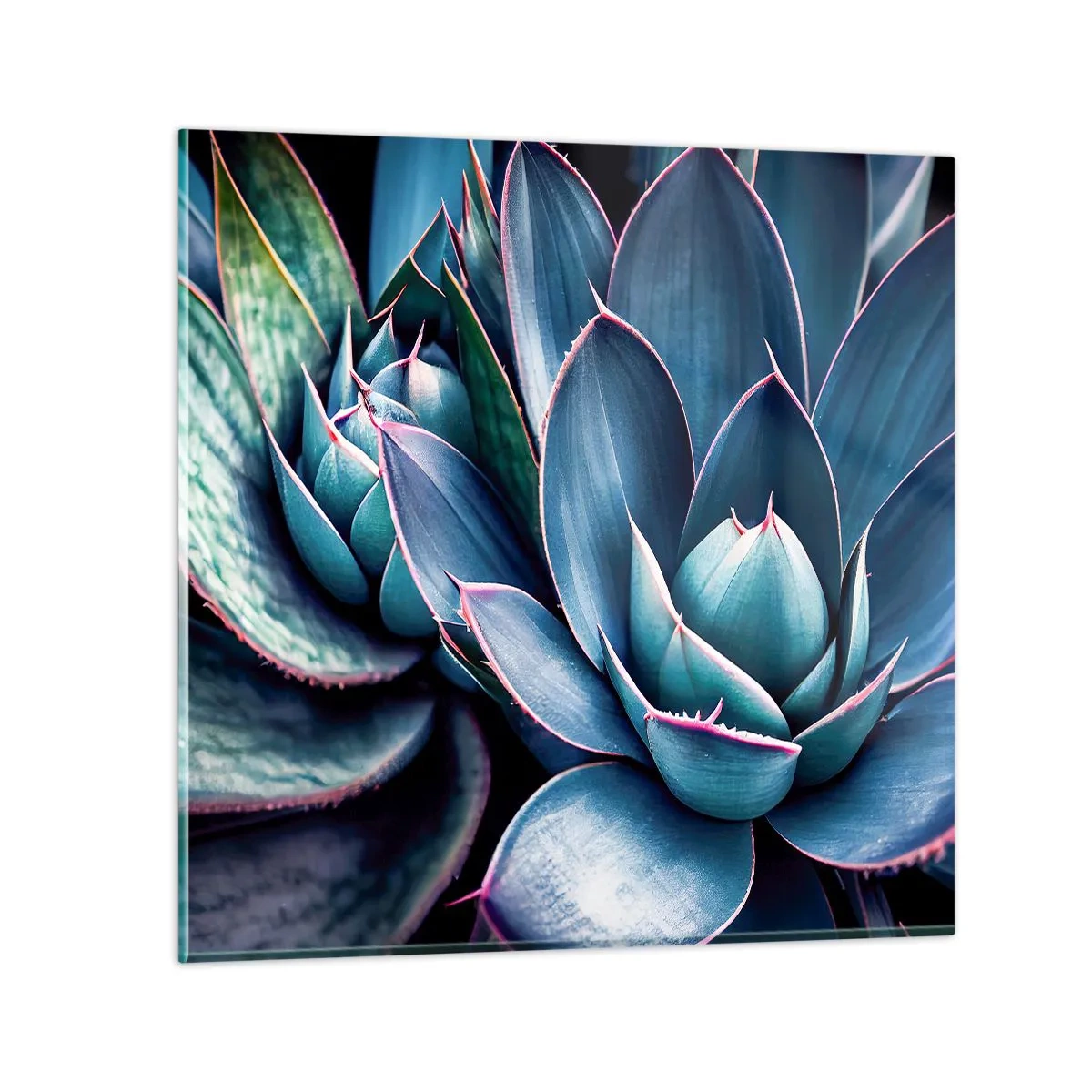 Obraz na skle - Vitální síla - 40x40 cm