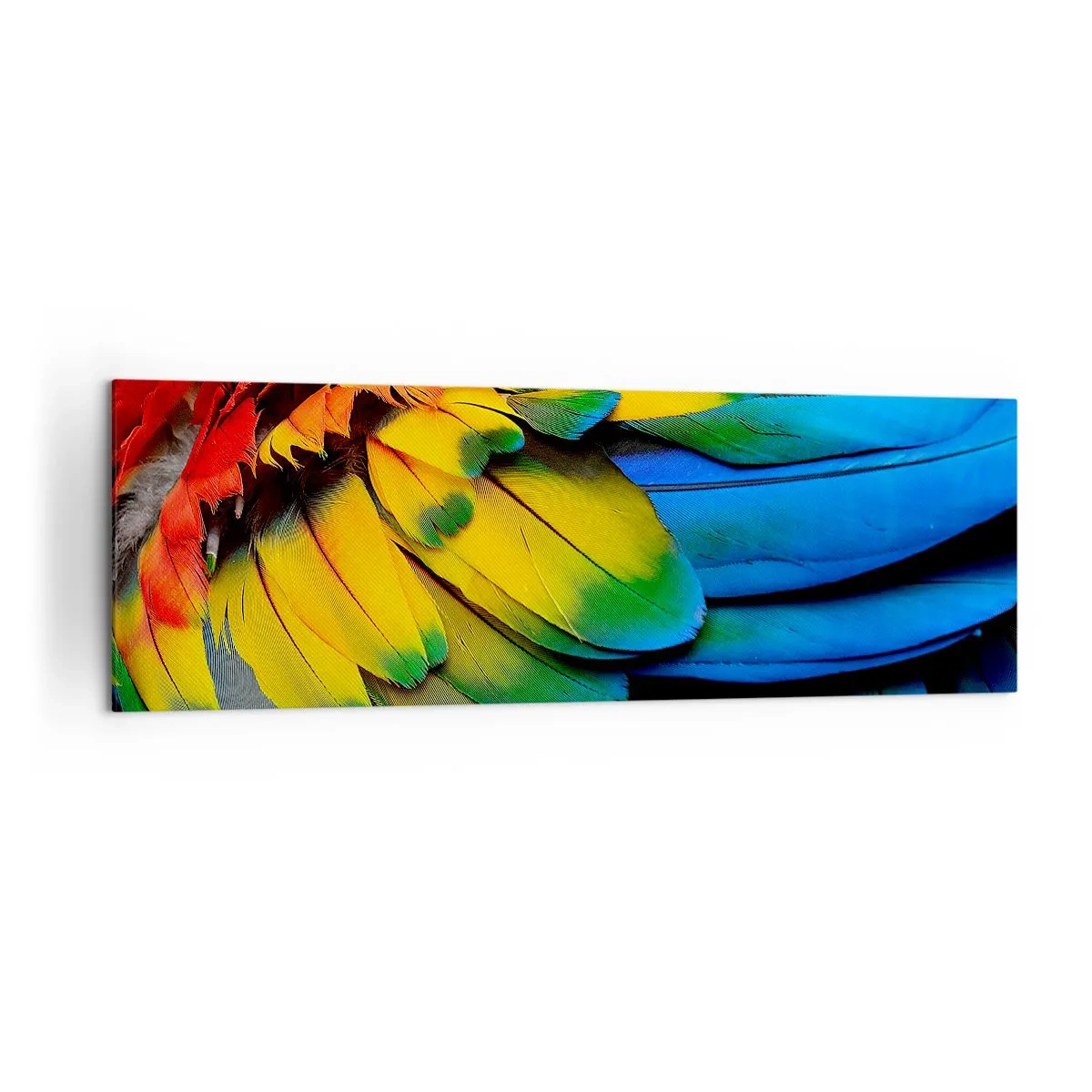 Obraz na plátně - Nebeský pták - 160x50 cm
