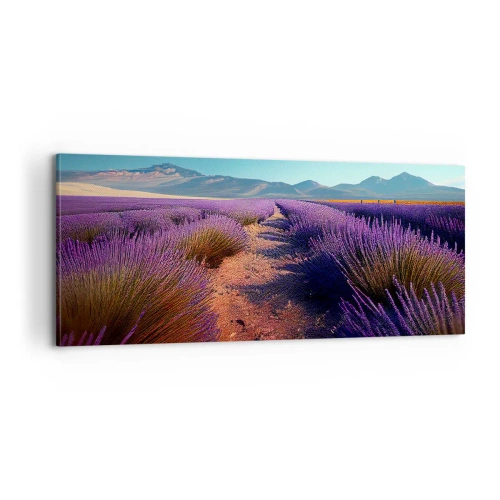 Obraz na plátně - Voňavá pole - 100x40 cm