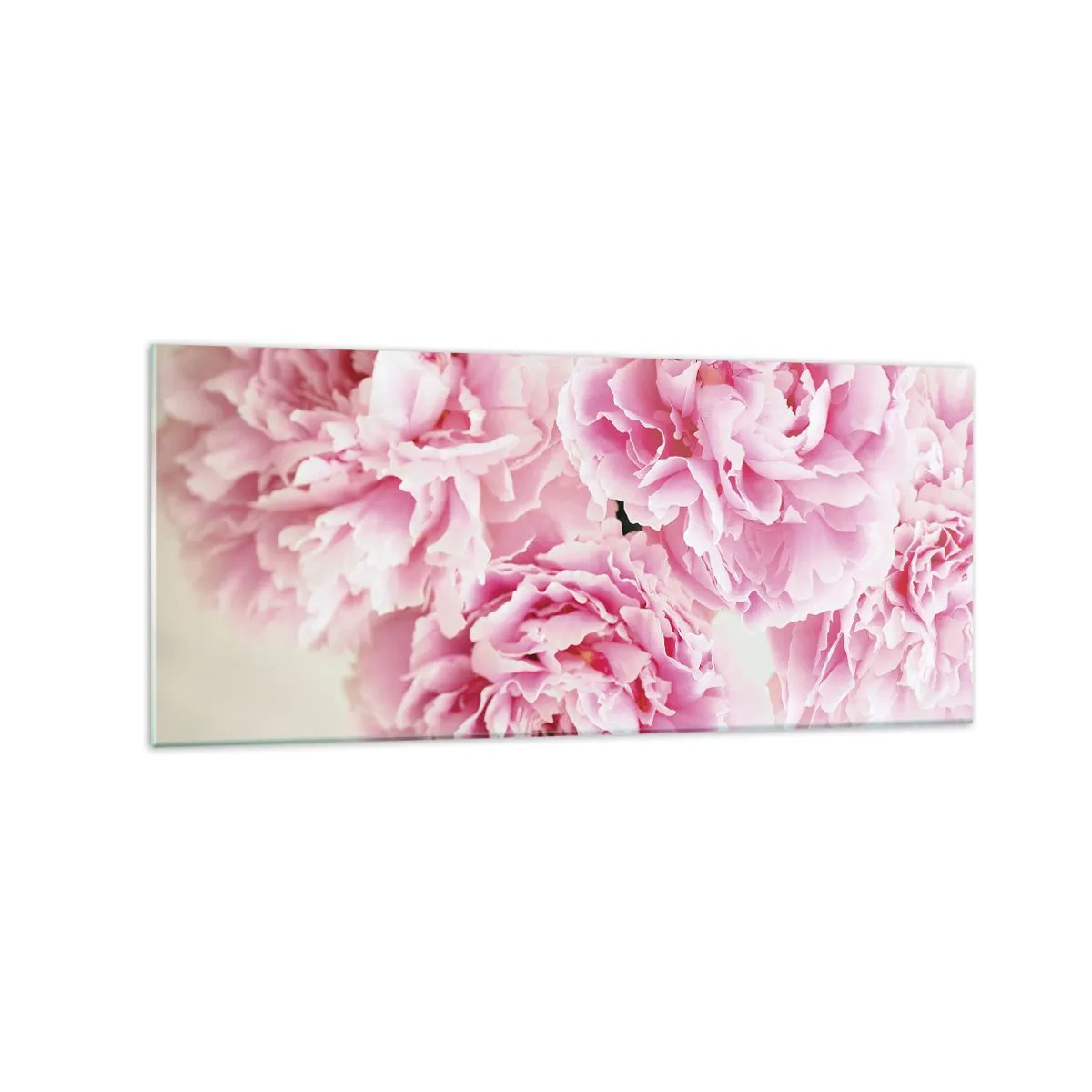Obraz na skle - V růžovém přepychu - 120x50 cm