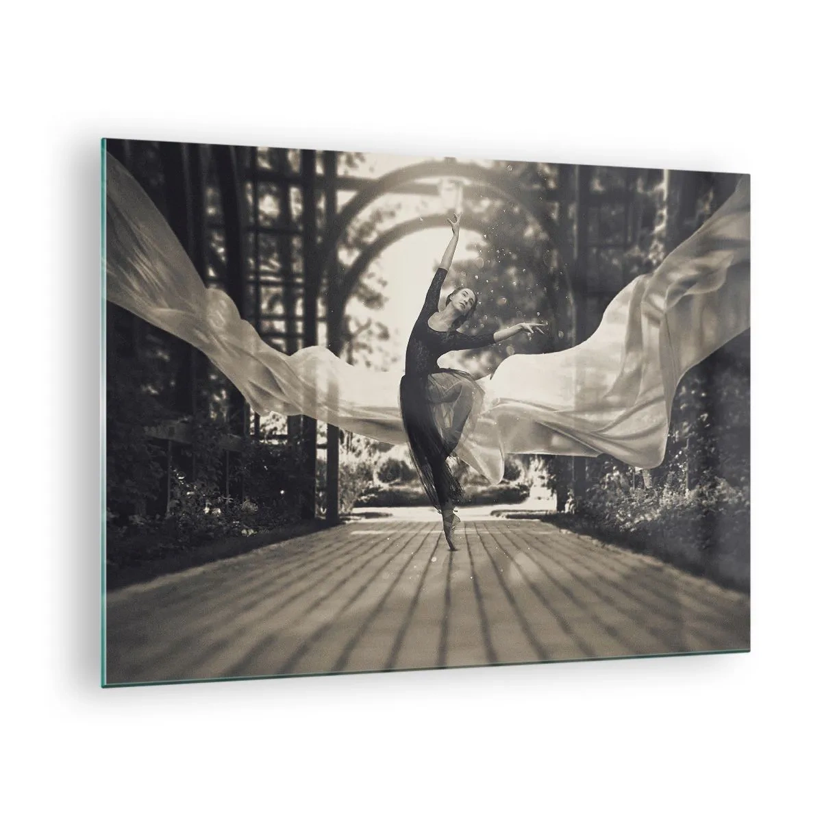 Obraz na skle - Tanečnice v pohybu na pozadí zahrady v černé a bílé. - 70x50cm - Tanec ducha zahrady - Moderní nástěnná dekorace do obývacího pokoje a ložnice ARTTOR