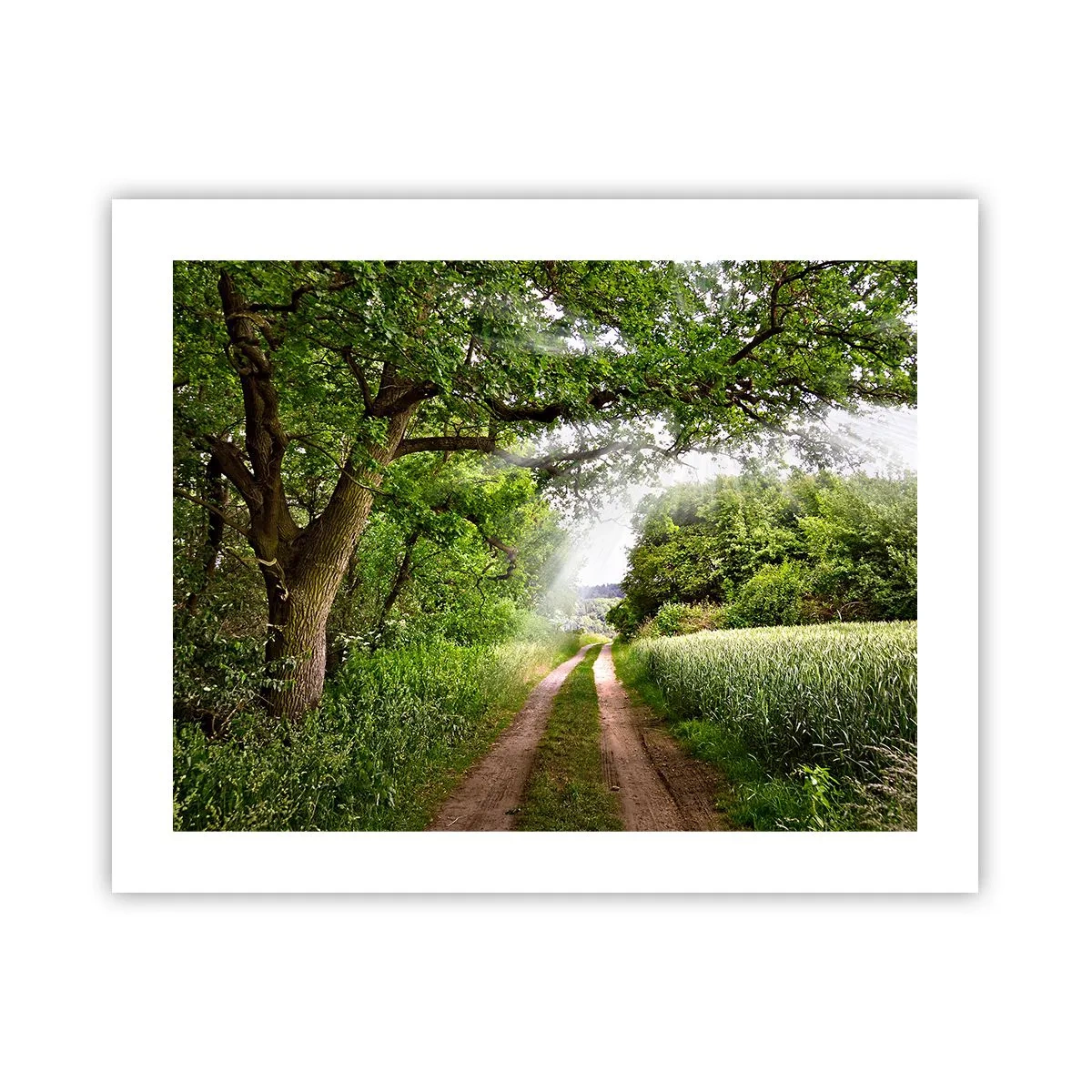 Plakát - Et in Arcadia ego - 50x40 cm