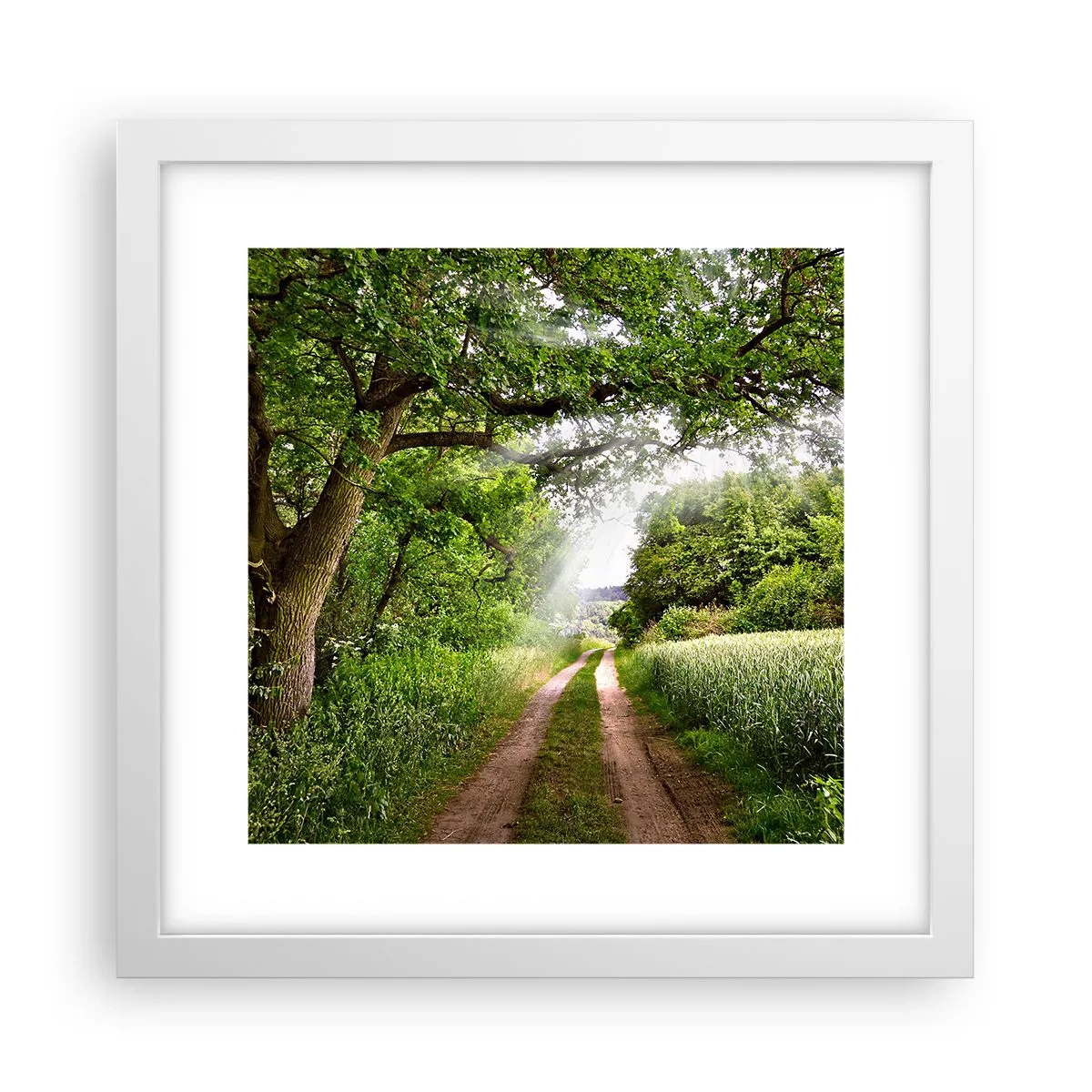 Plakát v bílém rámu - Et in Arcadia ego - 30x30 cm