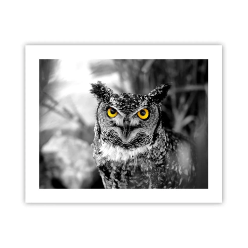 Plakát - Nic se neschová - 50x40 cm