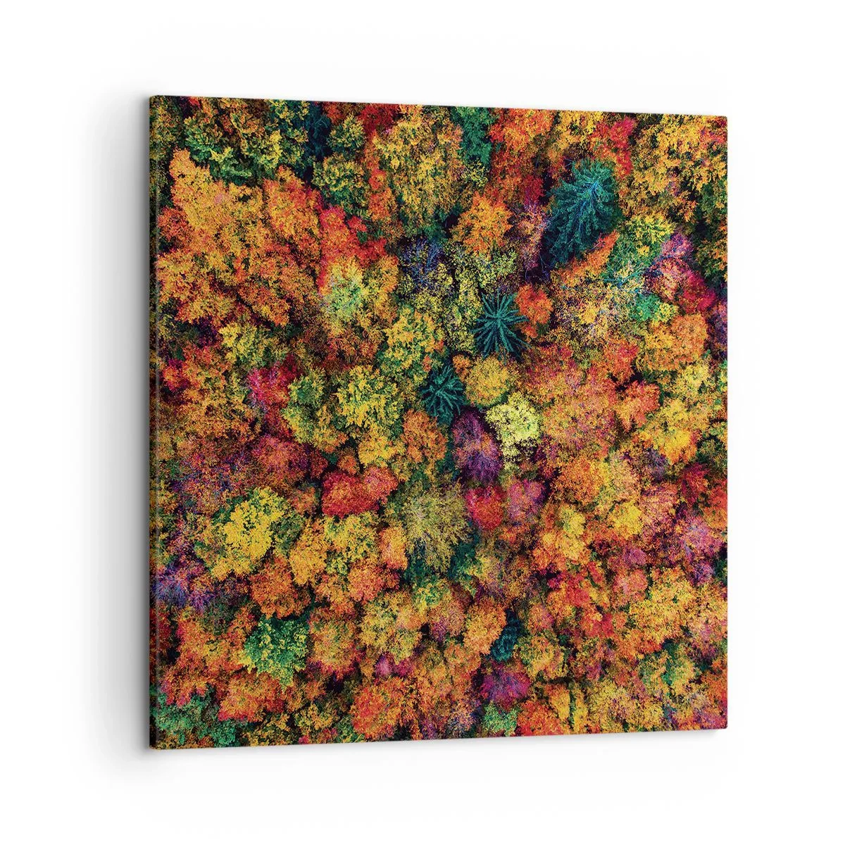 Obraz na plátně - Kytice podzimních stromů - 50x50 cm