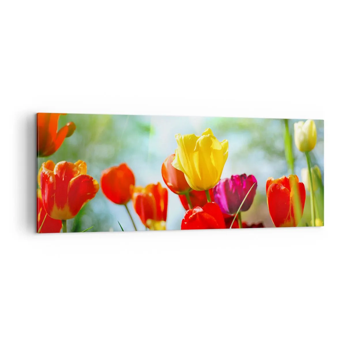 Obraz na plátně - Všechny barvy slunce - 140x50 cm