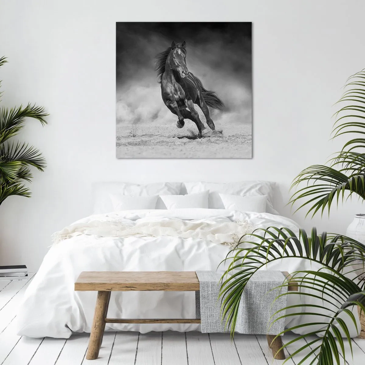 Obraz na plátně - Hodné samotného emíra - 40x40 cm