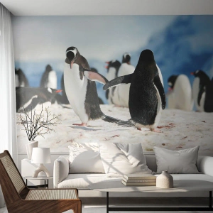 Fototapeta Premium Canvas - Tanec na sněhu - Tučňák, Antarktida, Krajina - 500x350 cm
