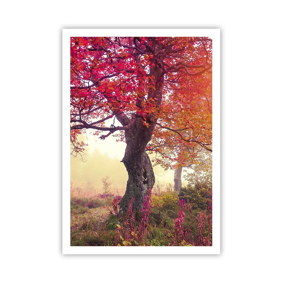 Plakát - Šílenství rozkvětu - 70x100 cm