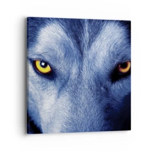 Obraz na plátně - Fascinující pohled - 40x40 cm