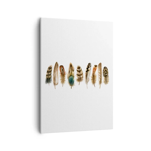 Obraz na plátně - Opeřená variace - 50x70 cm