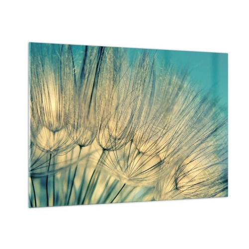 Obraz na skle - Čekání na vítr - 100x70 cm