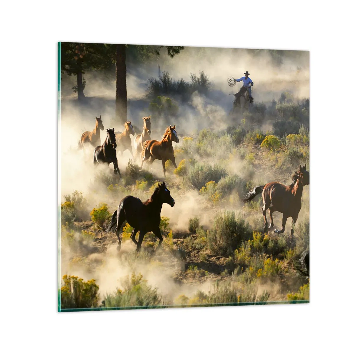 Obraz na skle - Rivalita - svoboda nebo mužská síla? - 60x60 cm