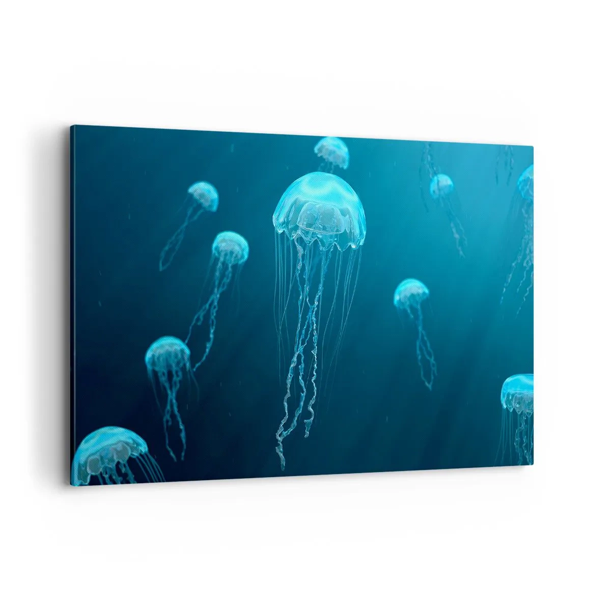 Obraz na plátně - Oceánský tanec - 120x80 cm