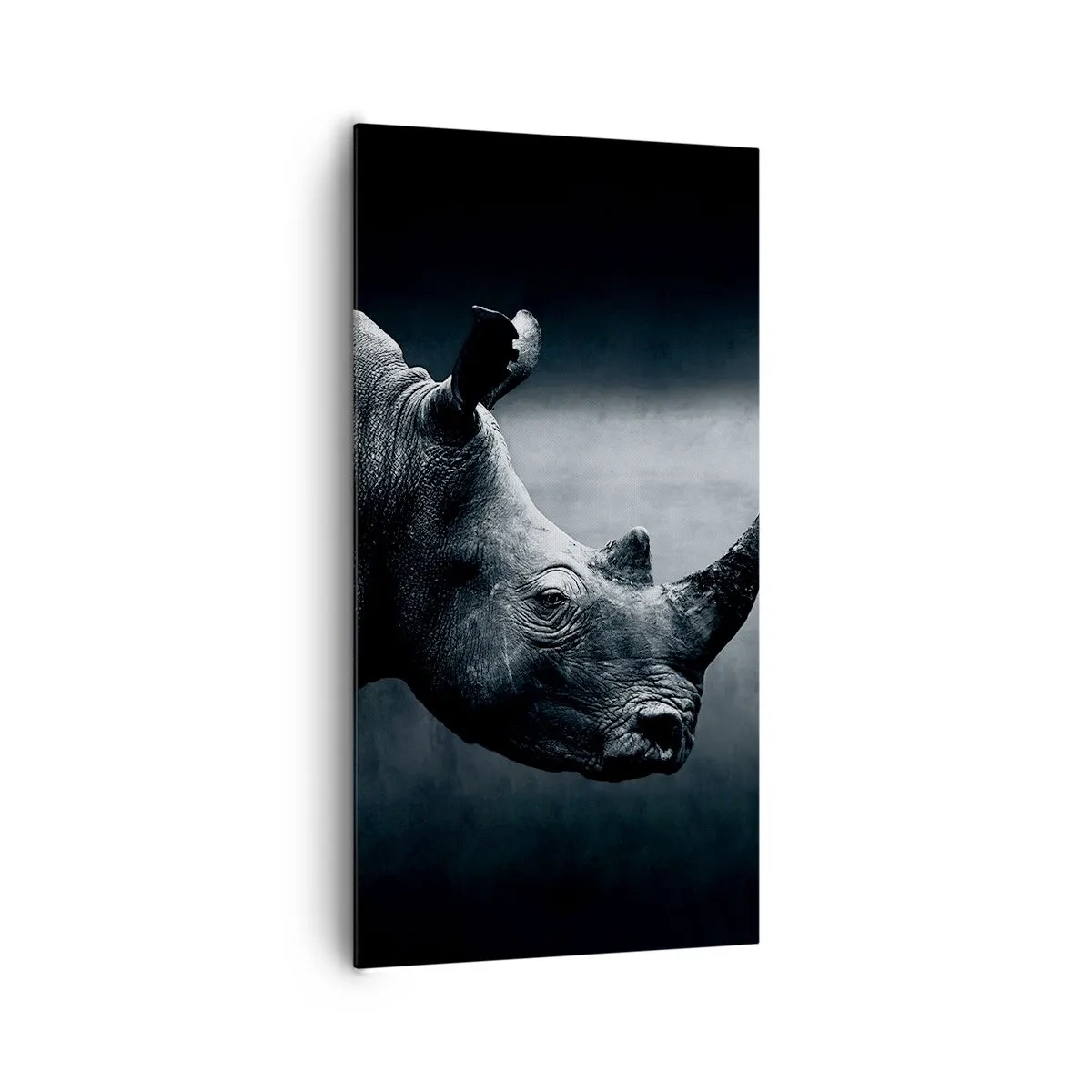Obraz na plátně - Pravý profil - 65x120 cm