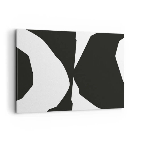 Obraz na plátně - Positive-negative - 100x70 cm