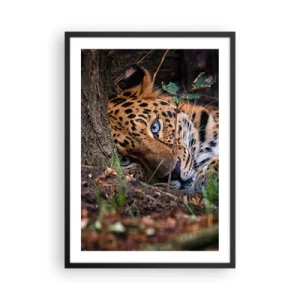 Plakát v černém rámu - Ležící leopard s intenzivně modrýma očima - 50x70cm - Věř mi - Moderní nástěnná dekorace do obývacího pokoje a ložnice ARTTOR