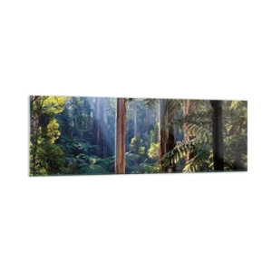 Obraz na skle - Povídka lesa - 160x50 cm