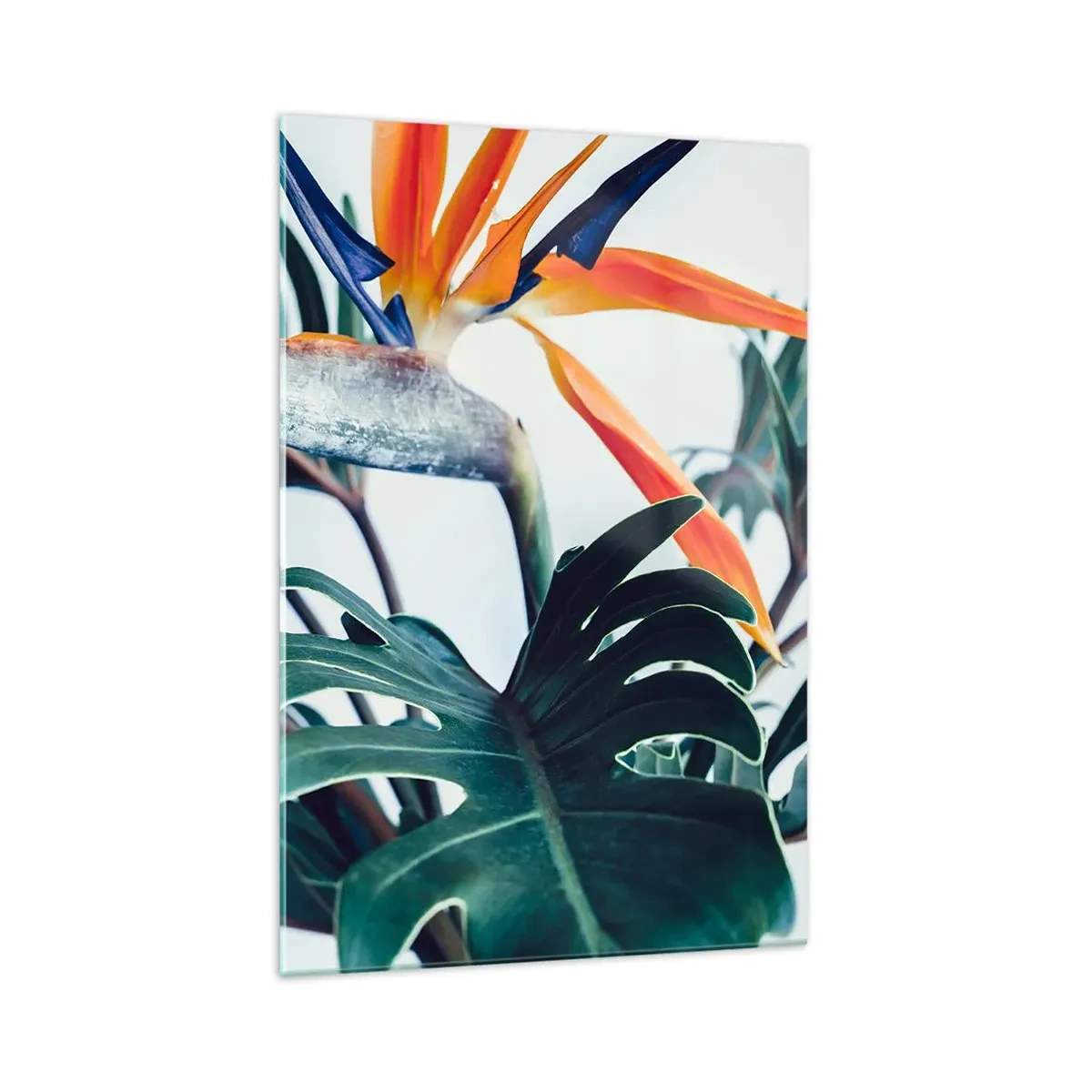 Obraz na skle - Ptákeř - 70x100 cm