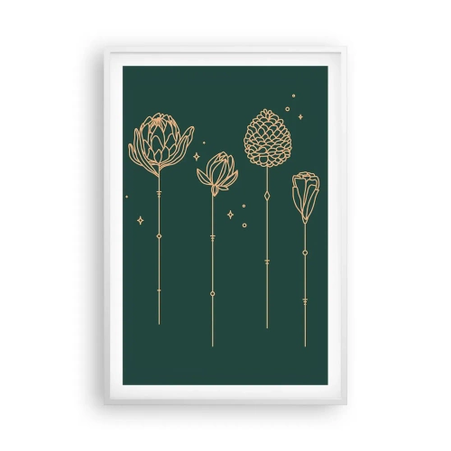 Plakát v bílém rámu - Bylinky - 61x91 cm