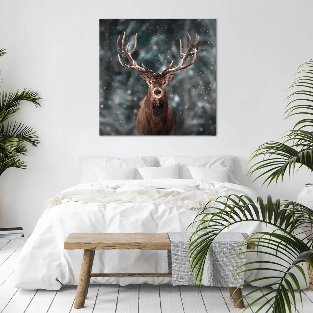 Obraz na plátně - Skutečný král lesa - 60x60 cm