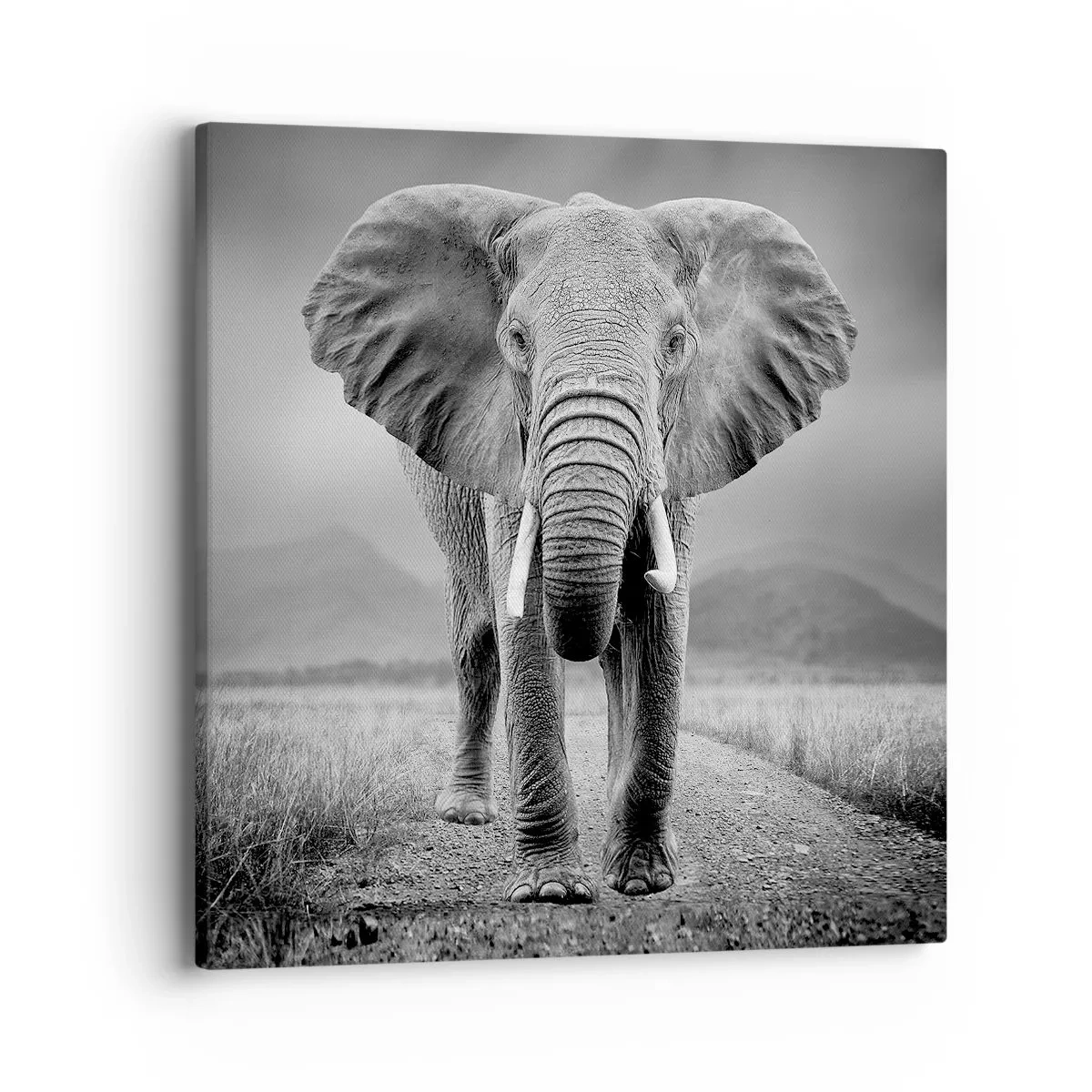 Obraz na plátně - Hostitel vítá - 40x40 cm