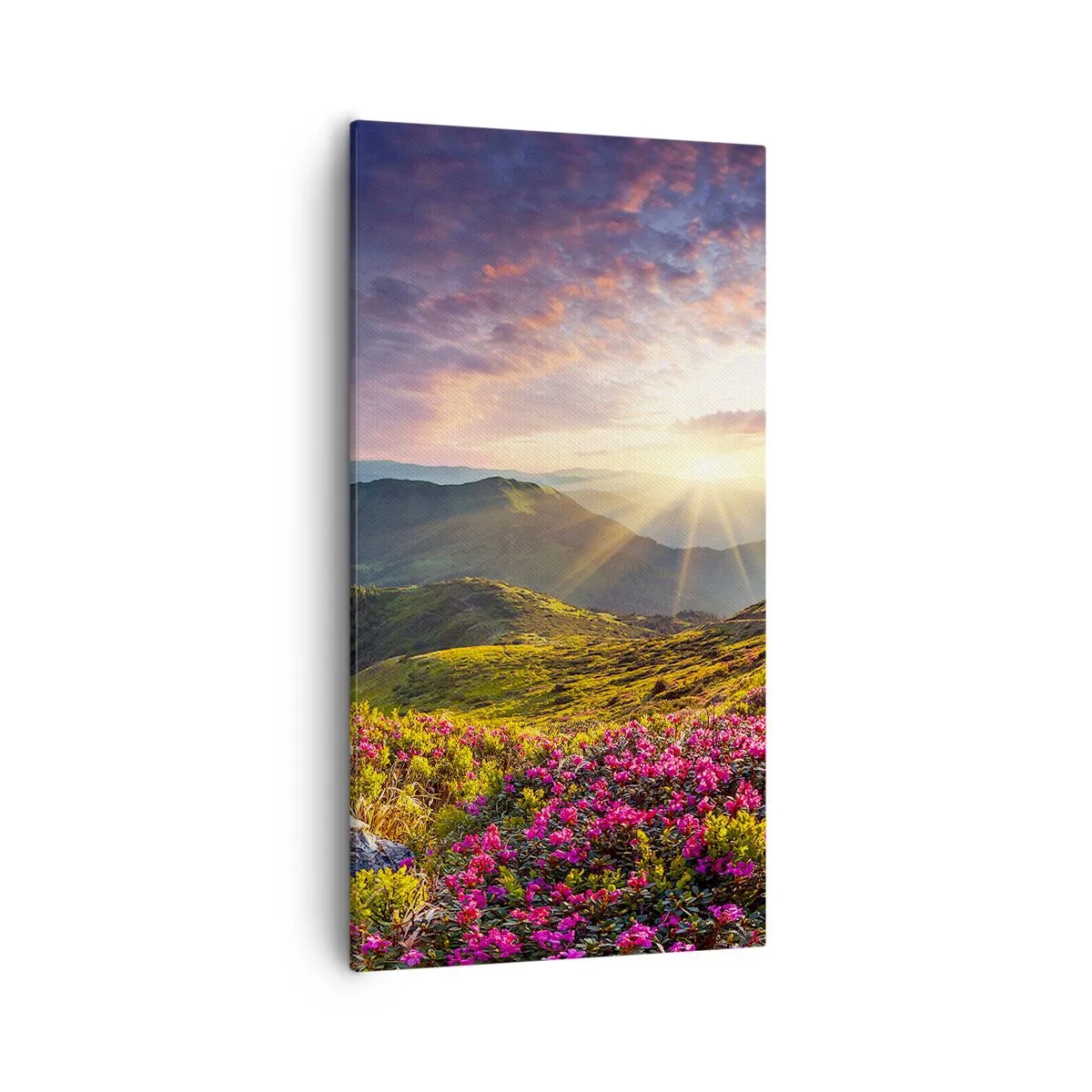 Obraz na plátně - Svěžest horského rána - 55x100 cm