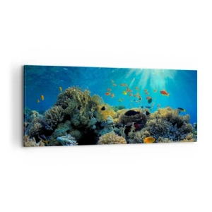 Obraz na plátně - Podvodní poklady - 100x40 cm