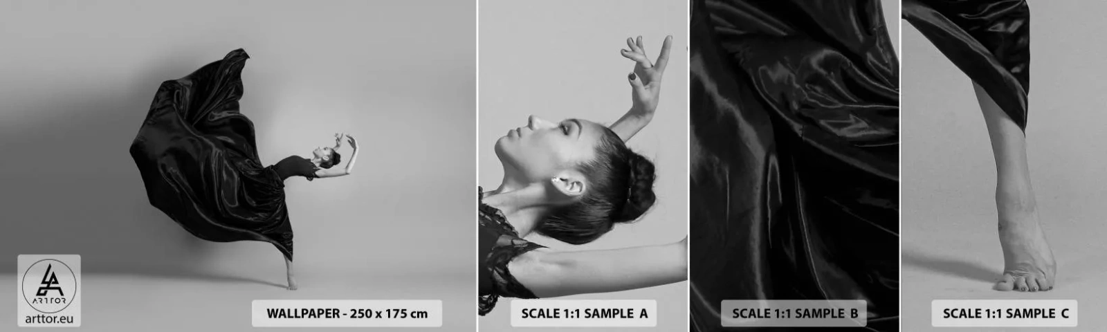 Fototapeta Vzorek Standard Eco - Okřídlený hudbou - Tanec, Žena, Tanečník - 100x30 cm