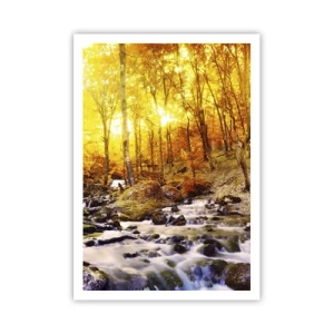 Plakát - Kameny zasazené do zlata a platiny - 70x100 cm