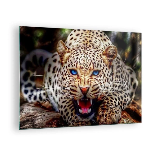 Obraz na skle - Zuřivý modrooký leopard ve volné přírodě - 70x50cm - Vztek kráse neškodí - Moderní nástěnná dekorace do obývacího pokoje a ložnice ARTTOR