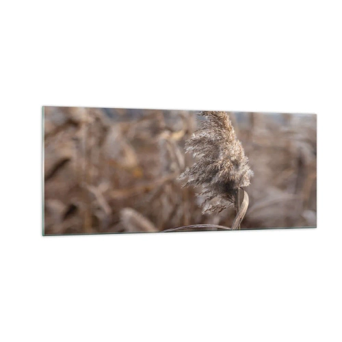 Obraz na skle - Čas odletět s větrem - 100x40 cm