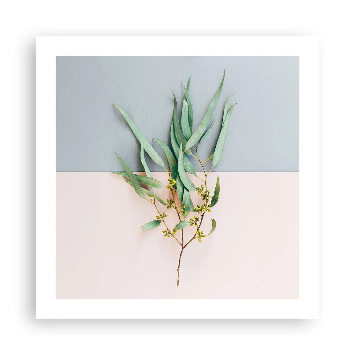 Plakát - Pastelová jemnost - 50x50 cm