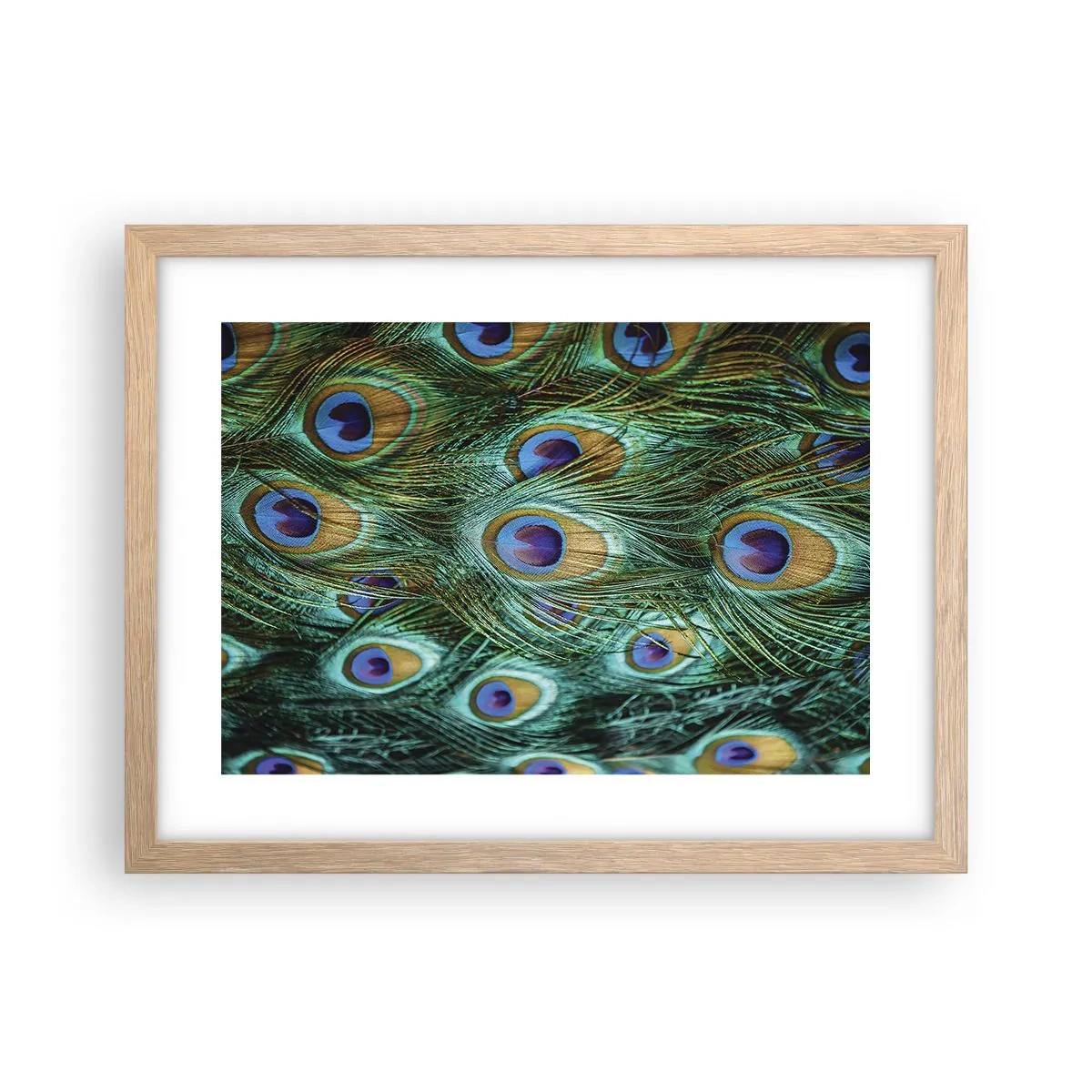 Plakát v rámu světlý dub - Paví pohled - 40x30 cm