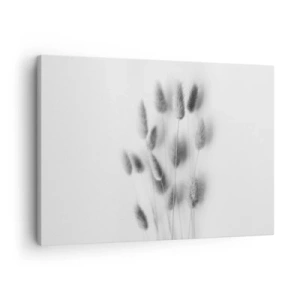 Obraz na plátně - Jemné trávy v odstínech šedé na bílém pozadí - 70x50cm - Její načechranost tráva - Moderní nástěnná dekorace do obývacího pokoje a ložnice ARTTOR