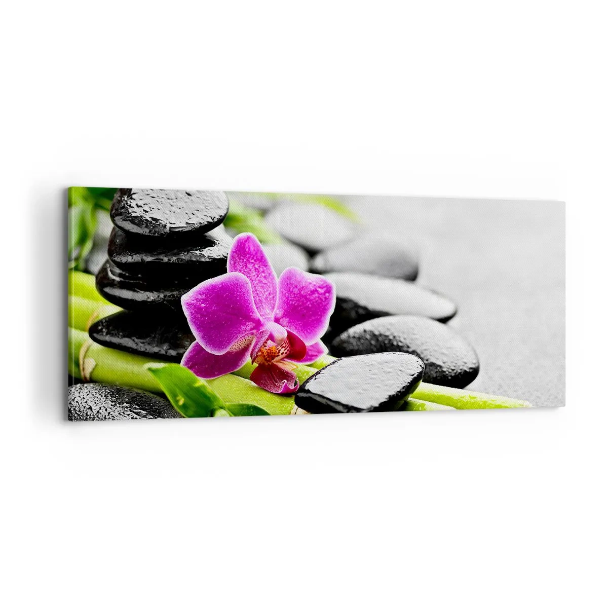 Obraz na plátně - V klidné rovnováze - 100x40 cm