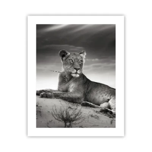 Plakát - Odpočinek královny pouště - 40x50 cm