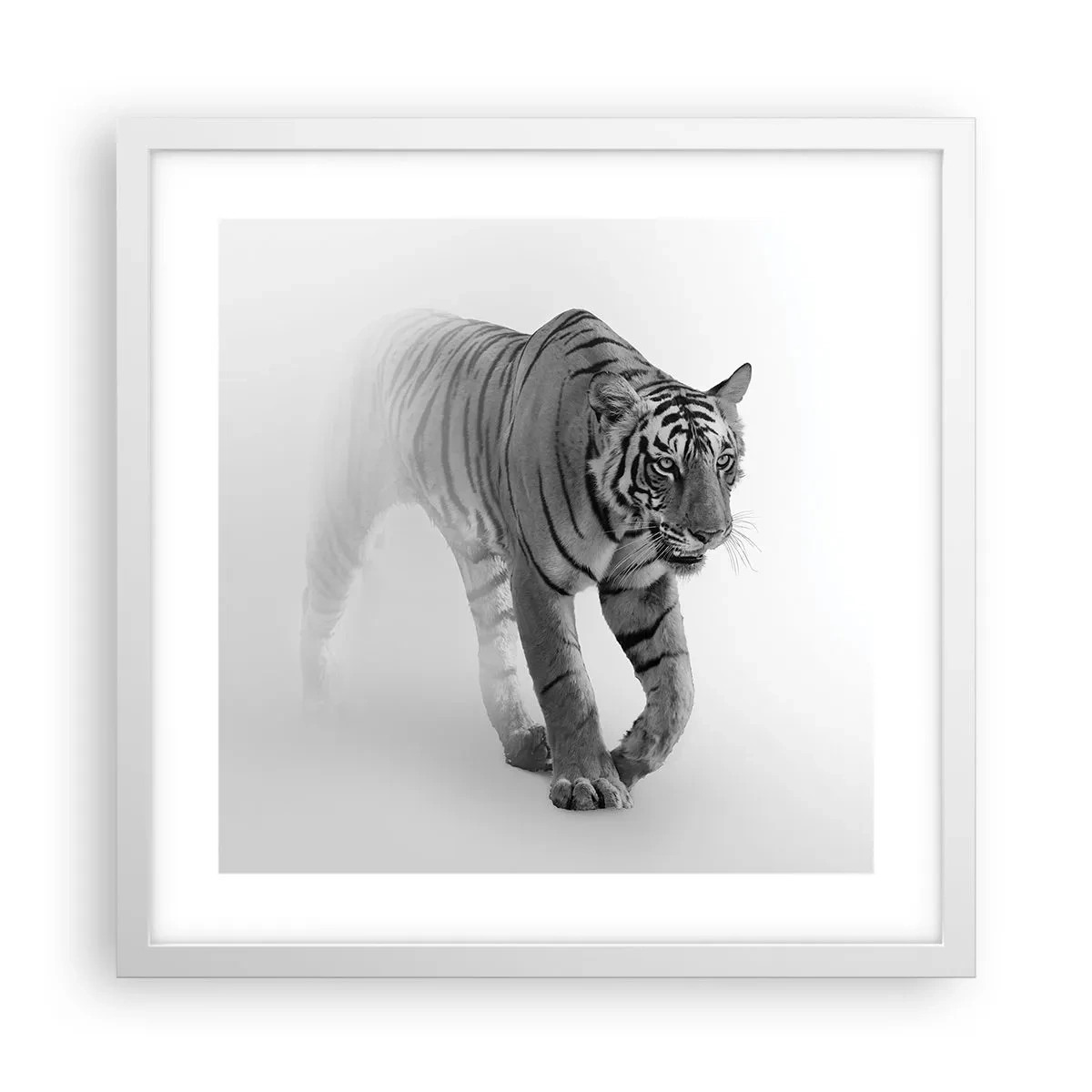 Plakát v bílém rámu - Přikrčený v mlze - 40x40 cm