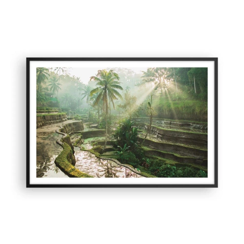 Plakát v černém rámu - Vyrůstát na slunci - 91x61 cm