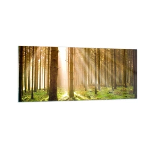 Obraz na skle - Brzy se objeví elfové - 100x40 cm