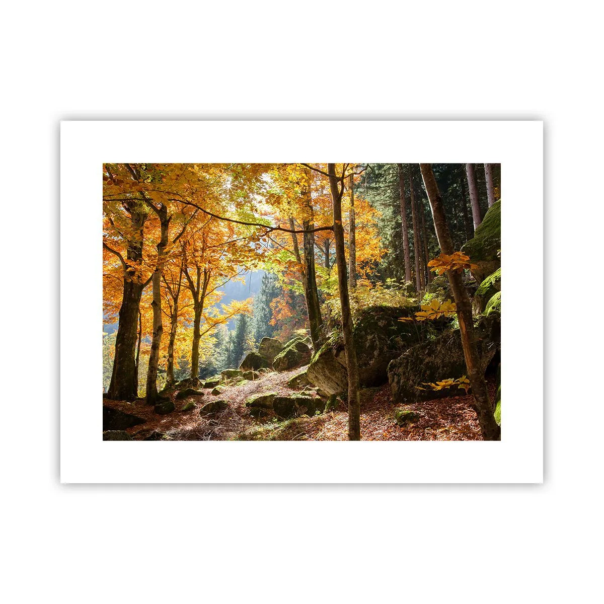 Plakát - Čas na odpočinek - 40x30 cm