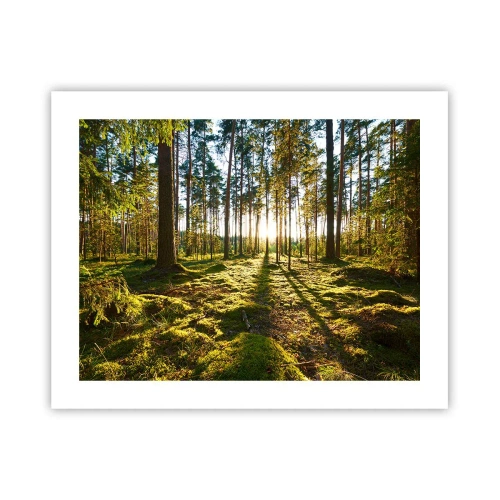 Plakát - …Za sedmero lesy - 50x40 cm