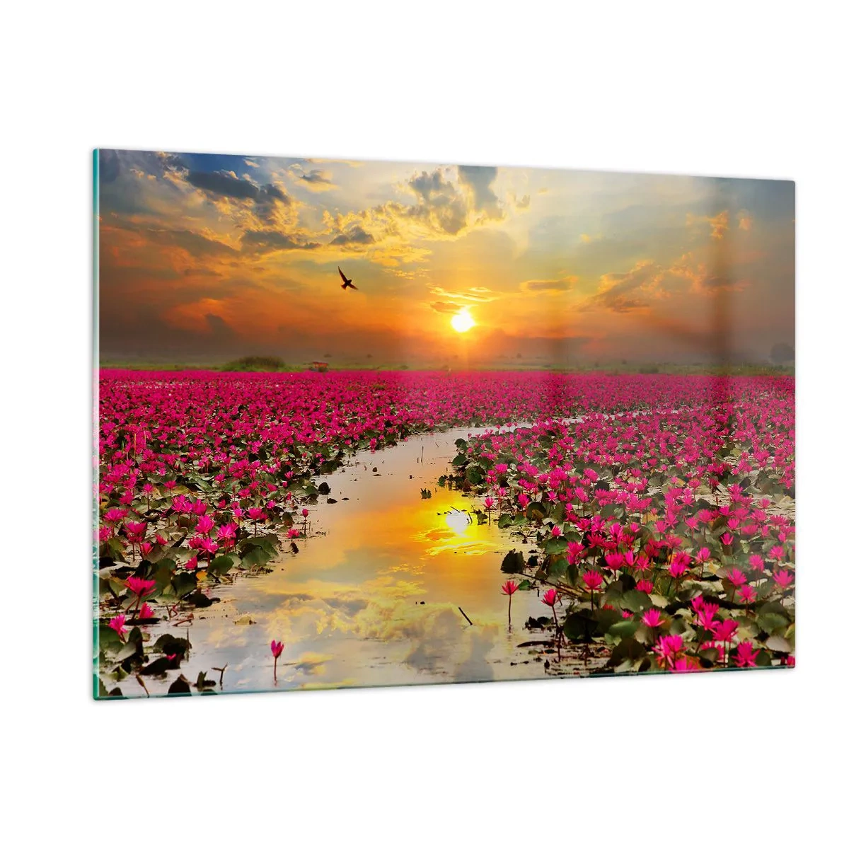 Obraz na skle - Tajemný život jezera - 120x80 cm